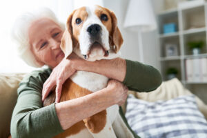 In-Home Care Galt, CA: Pet Care 